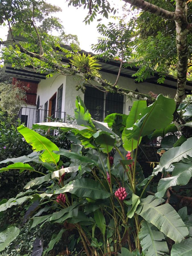 Apartment La Chachalaca