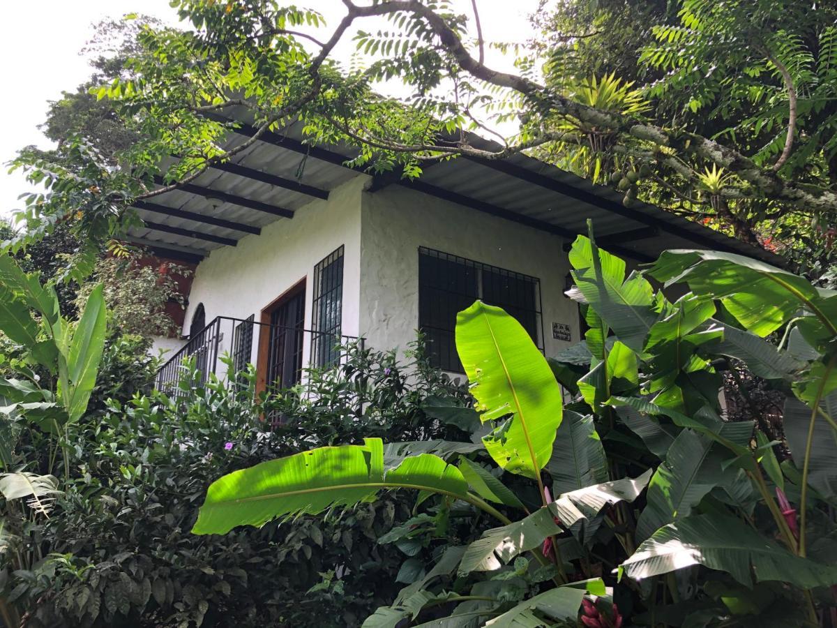 Apartamento La Chachalaca