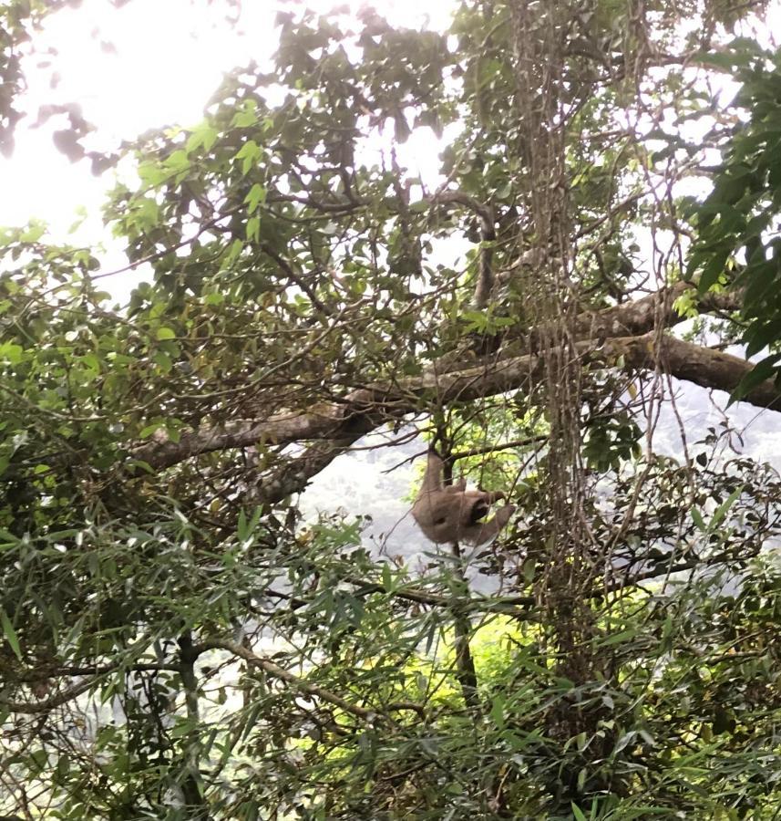La Chachalaca Apartment *