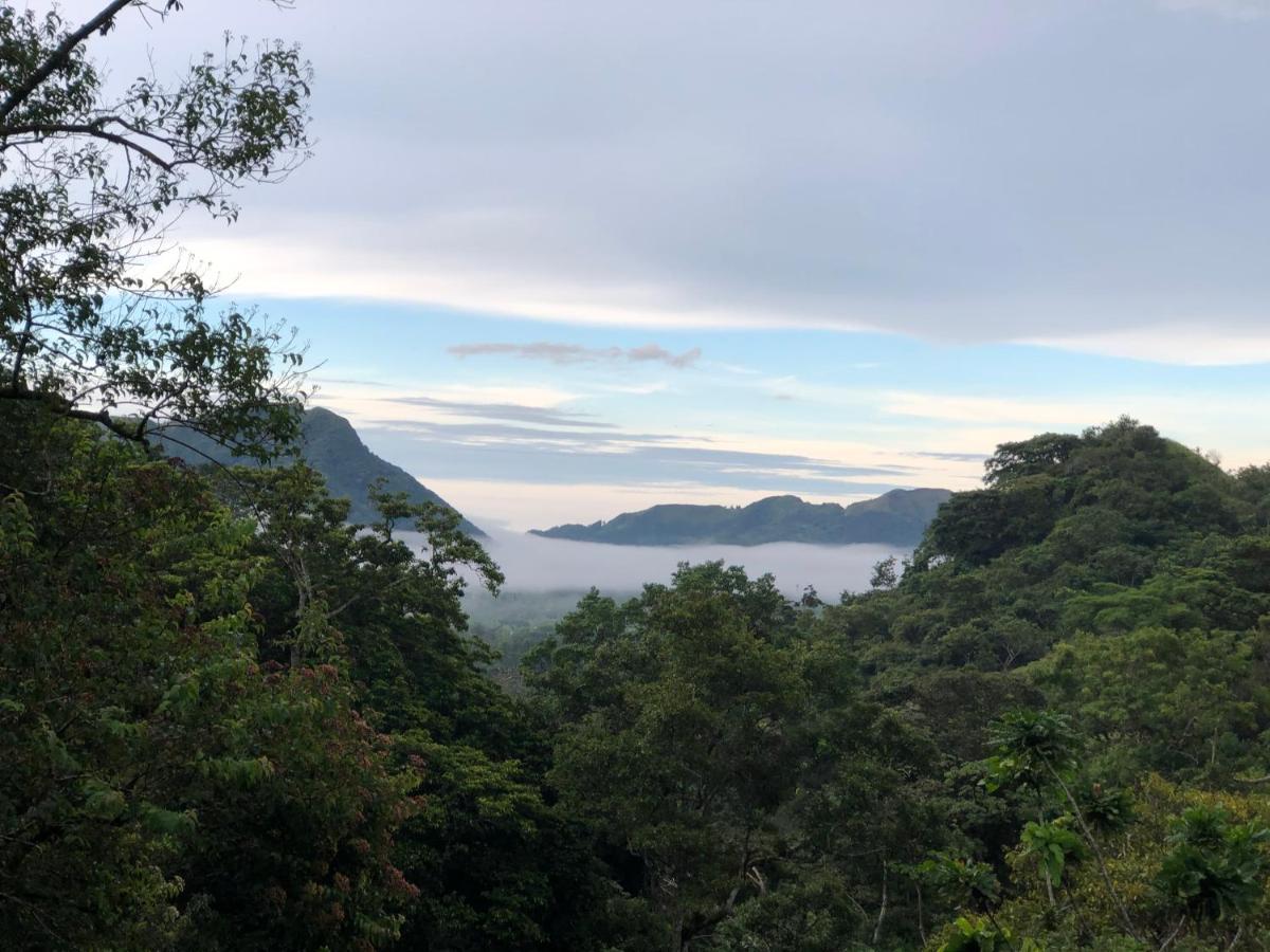 La Chachalaca * El Valle de Anton